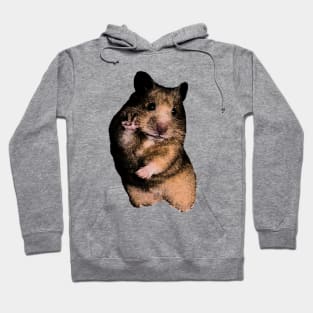 Funny Hamster Shirt, Hamster Meme Shirt, Cute Hamster Dank Meme Quote Shirt Out of Pocket Humor Hoodie